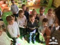 Zdjęcie 12.11.2015, 11 29 55 (1)