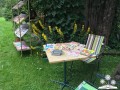 Zdjęcie 20.07.2016, 16 17 18 (1)