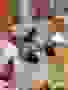 Zdjecie-1.12.2025-09-35-25-23-1
