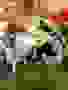 Zdjecie-1.12.2025-09-35-25-3