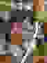 Zdjecie-1.12.2025-09-35-25-32