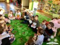Dzień Misia 2017 Bukowina