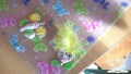 WP_20160803_16_42_37_Pro