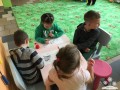 Zdjęcie 15.11.2018, 09 24 36