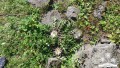 20160820_112017