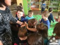 Zdjęcie 12.12.2016, 11 29 52