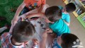20180511_103310