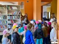 Zdjecie-16.05.2024-10-03-17